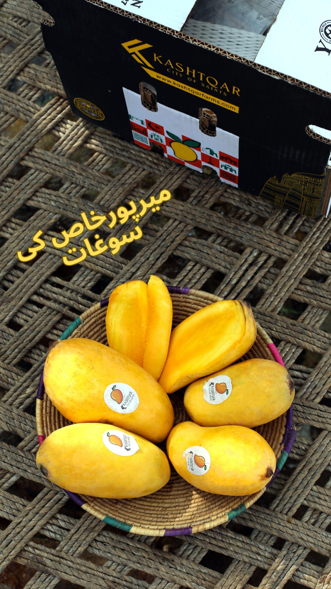 Mango(آم)