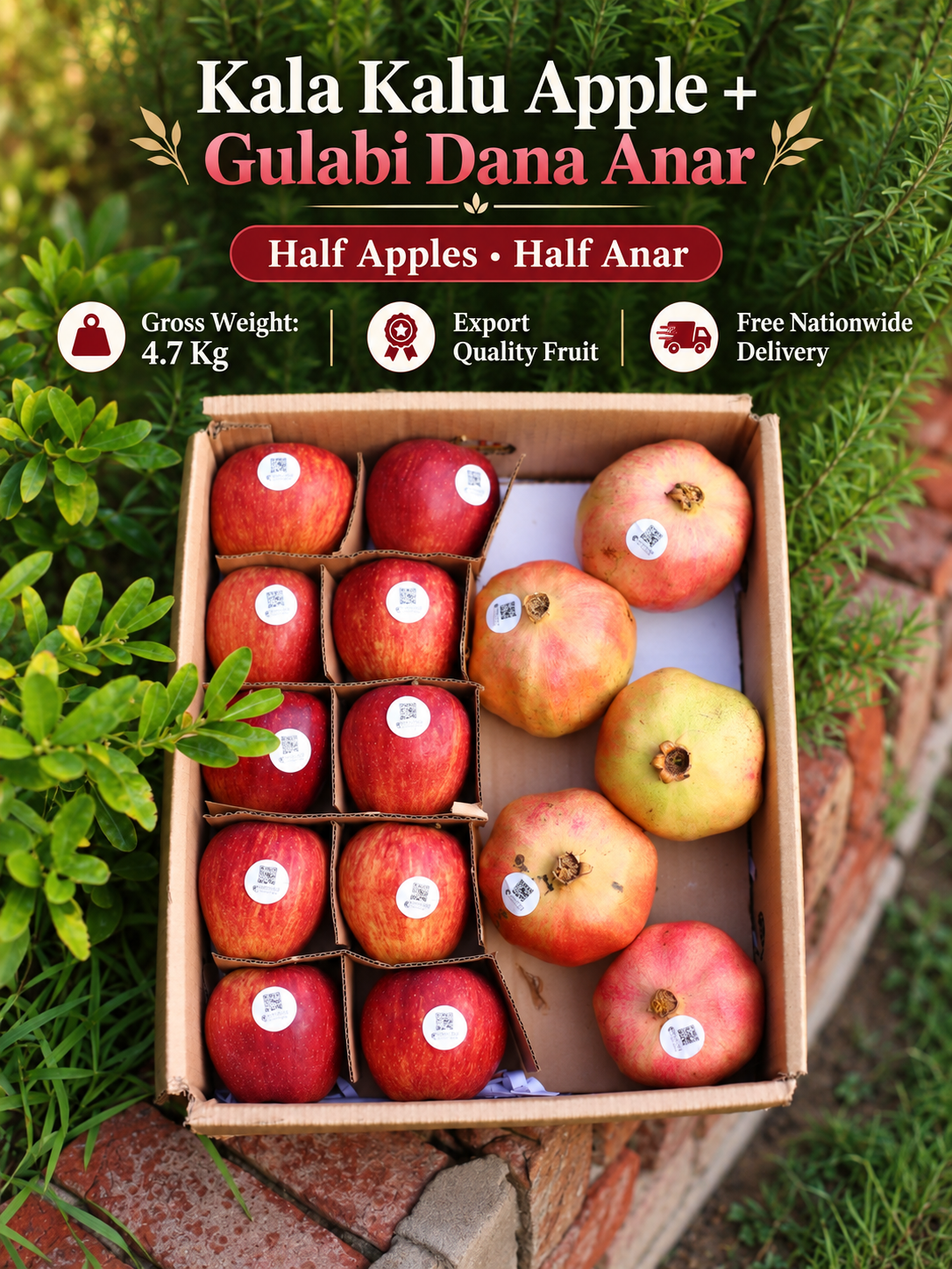Apples(سیب)