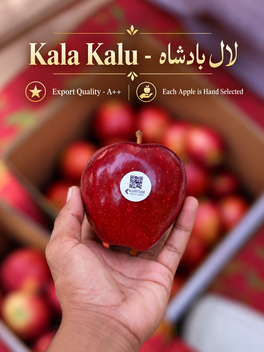 Apples(سیب)