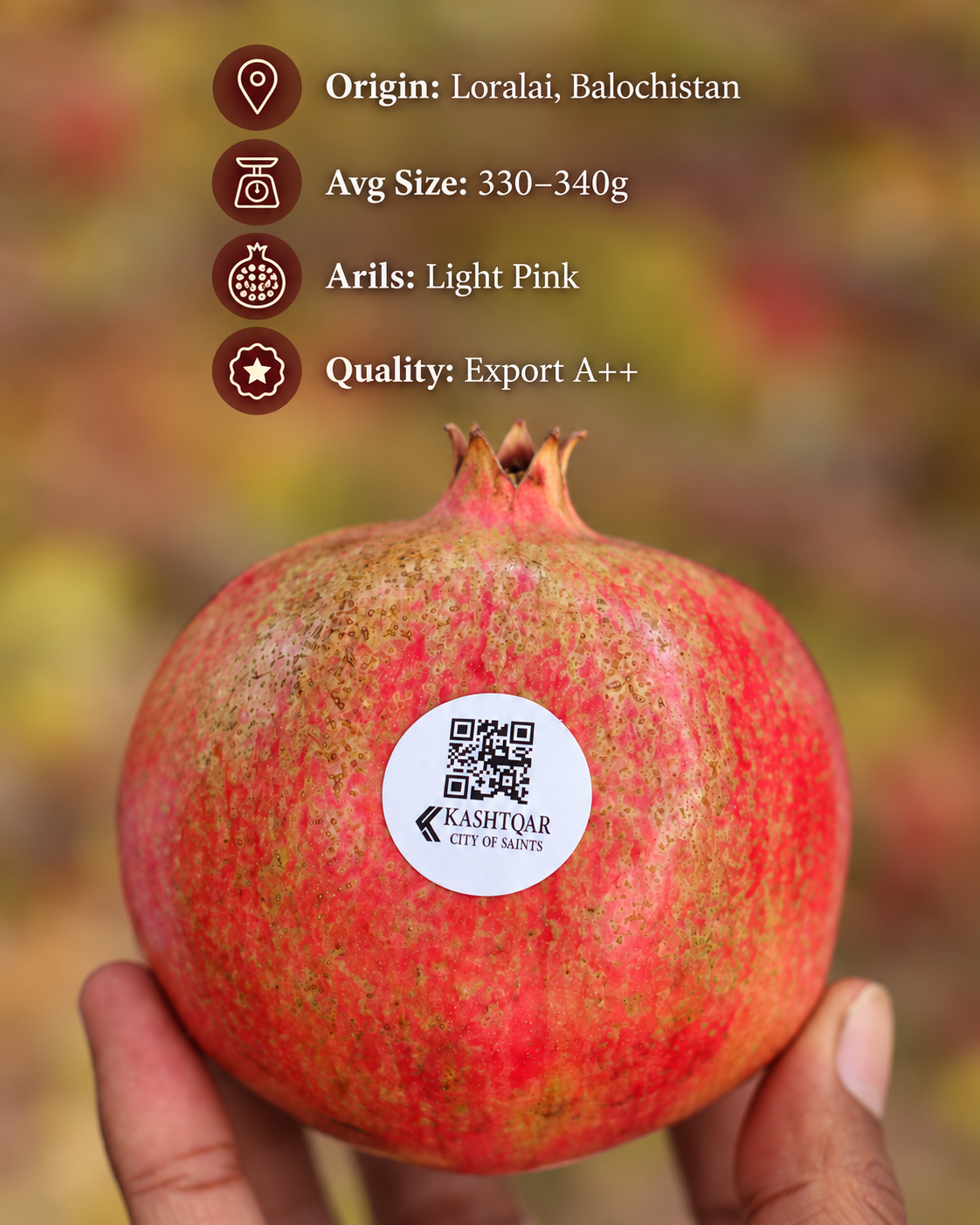 Anar(انار)