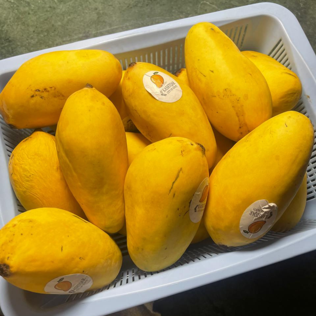 Mango(آم)
