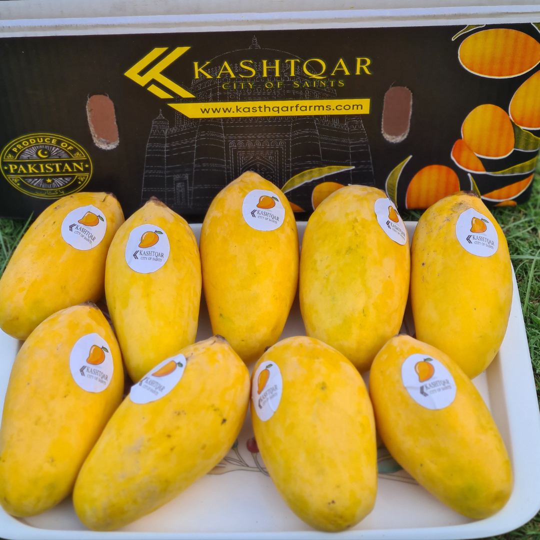 Mango(آم)
