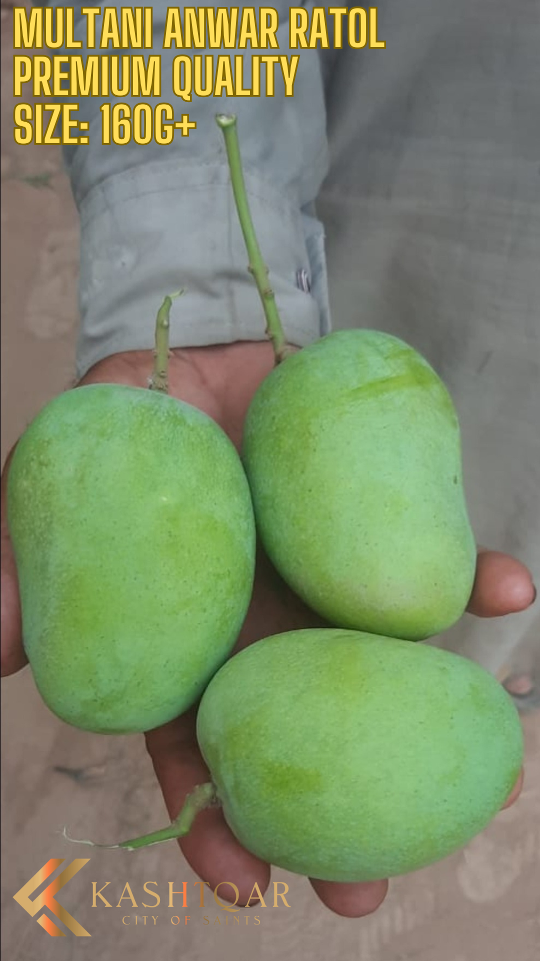 Mango(آم)