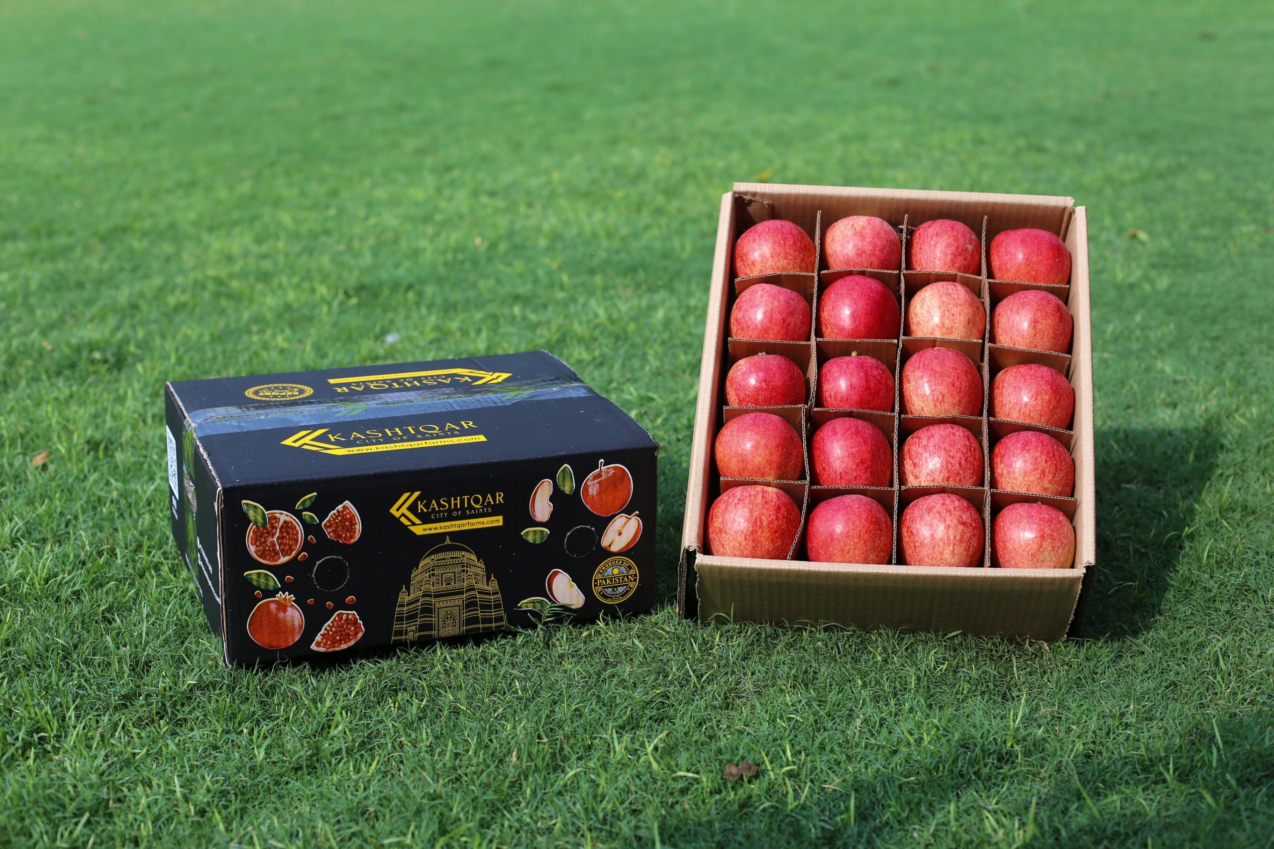 Apples(سیب)
