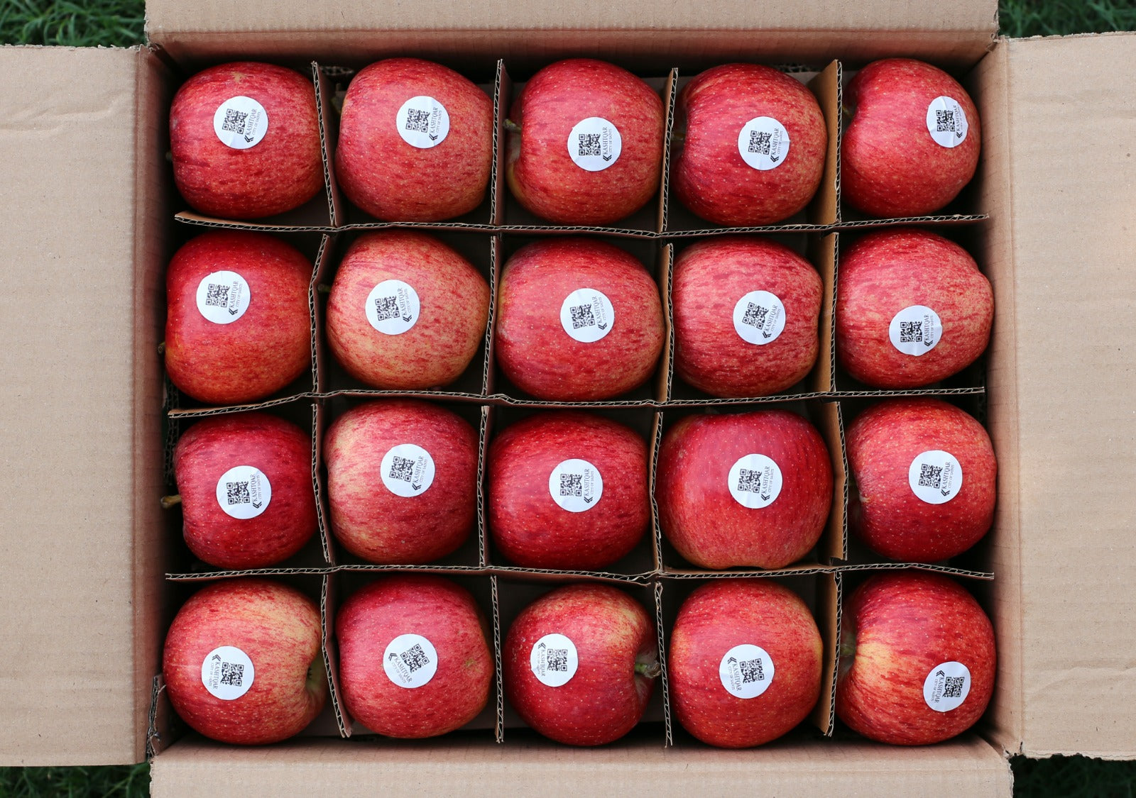Apples(سیب)