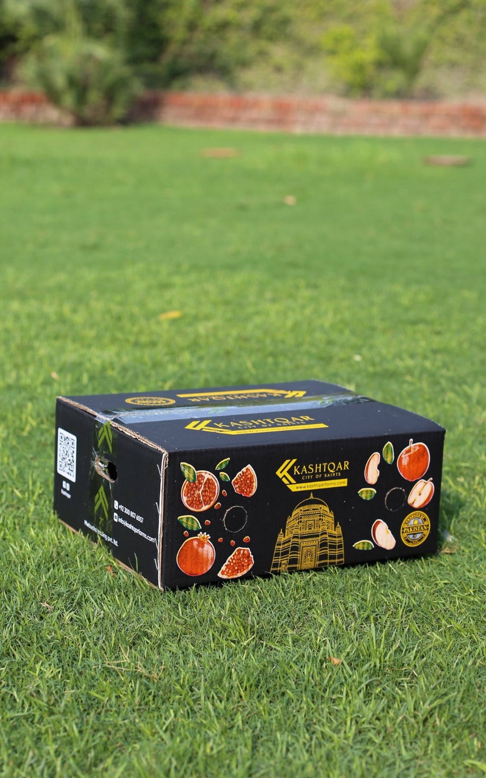 Apples(سیب)