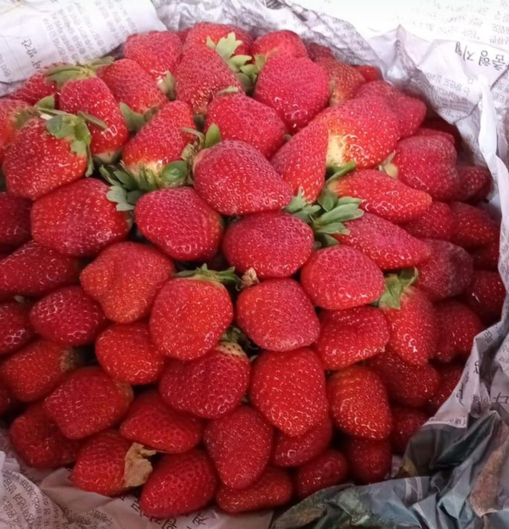 Fresh(لال خزانہ)Strawberries - Lahore Only