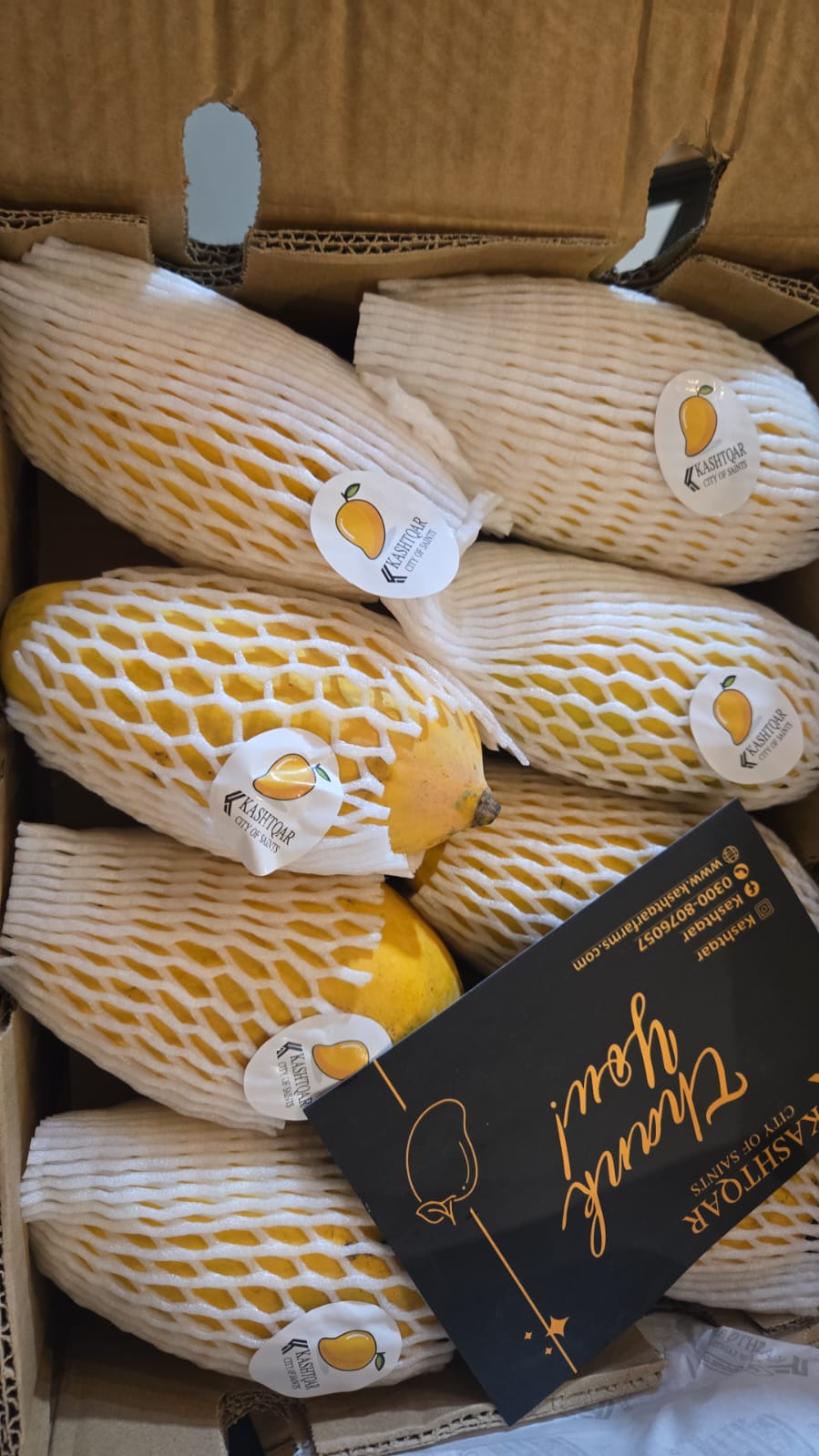 Mango(آم)