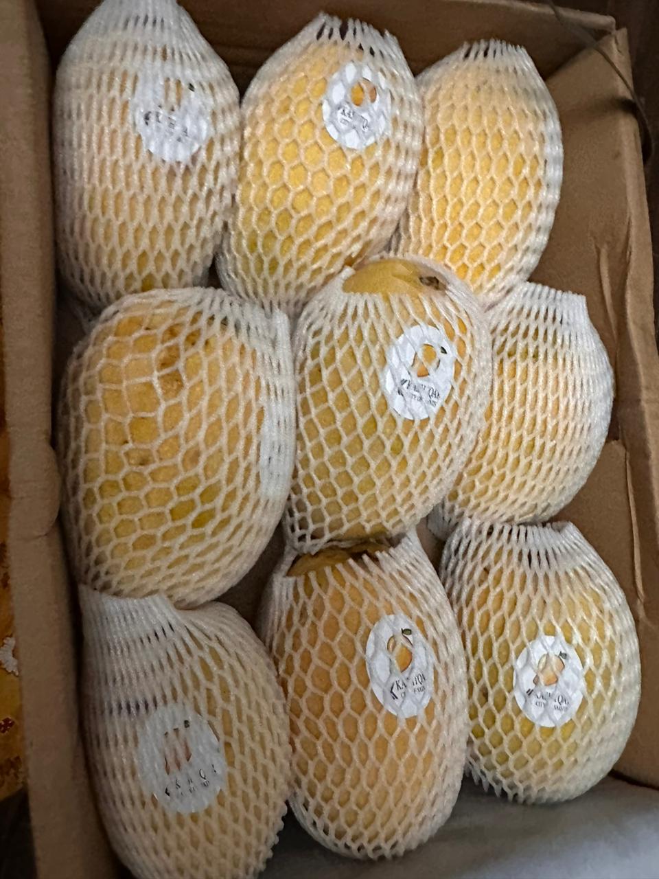 Mango(آم)