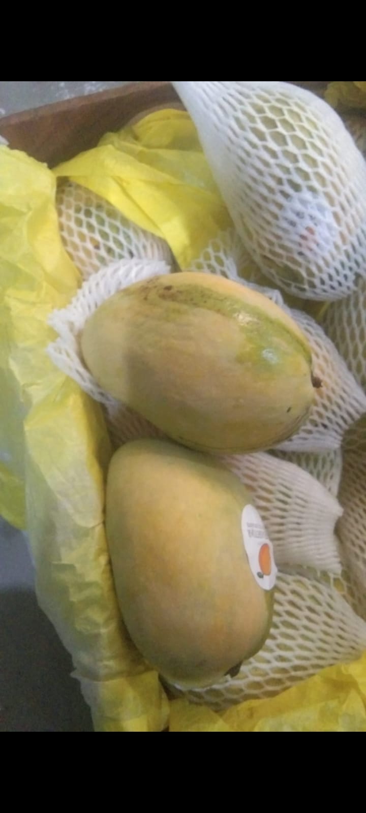 Mango(آم)