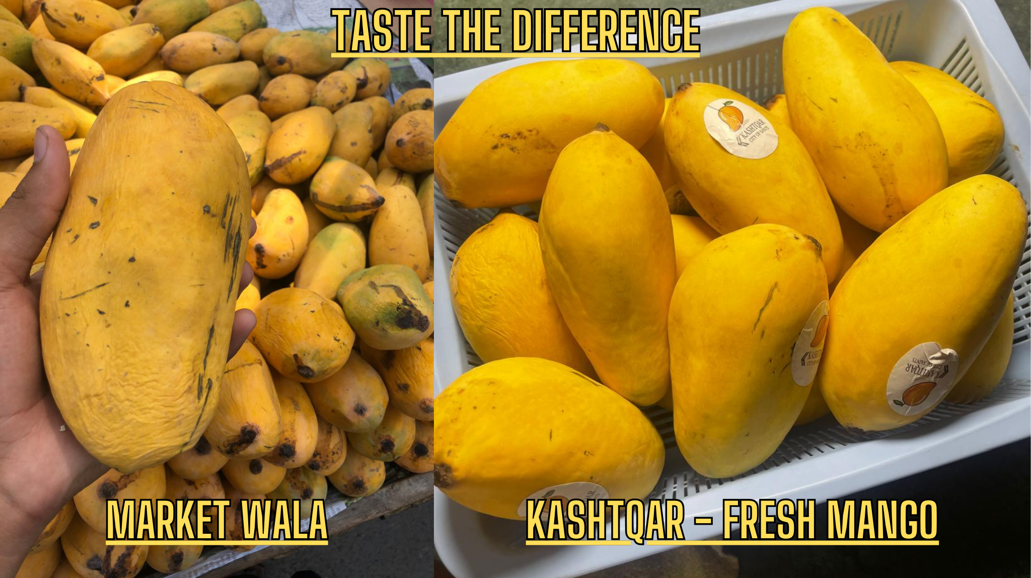 Mango(آم)